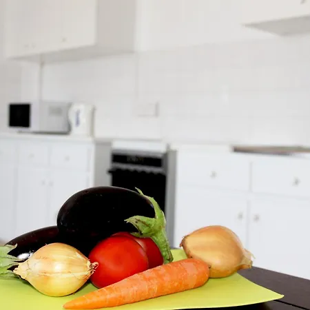 Apartment Rent Flat Center 710